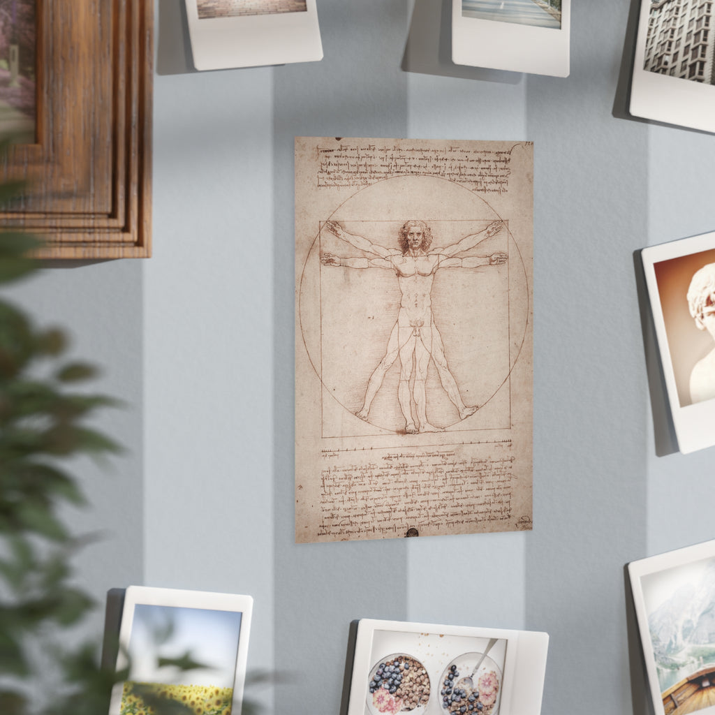 Mini Print : The Vitruvian Man — Leonardo da Vinci