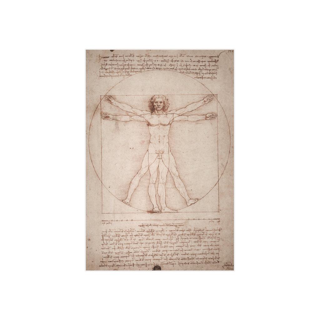 Mini Print : The Vitruvian Man — Leonardo da Vinci